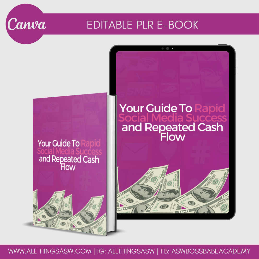 PLR: Your Guide To Rapid Social Media Success and Repeated Cash Flow