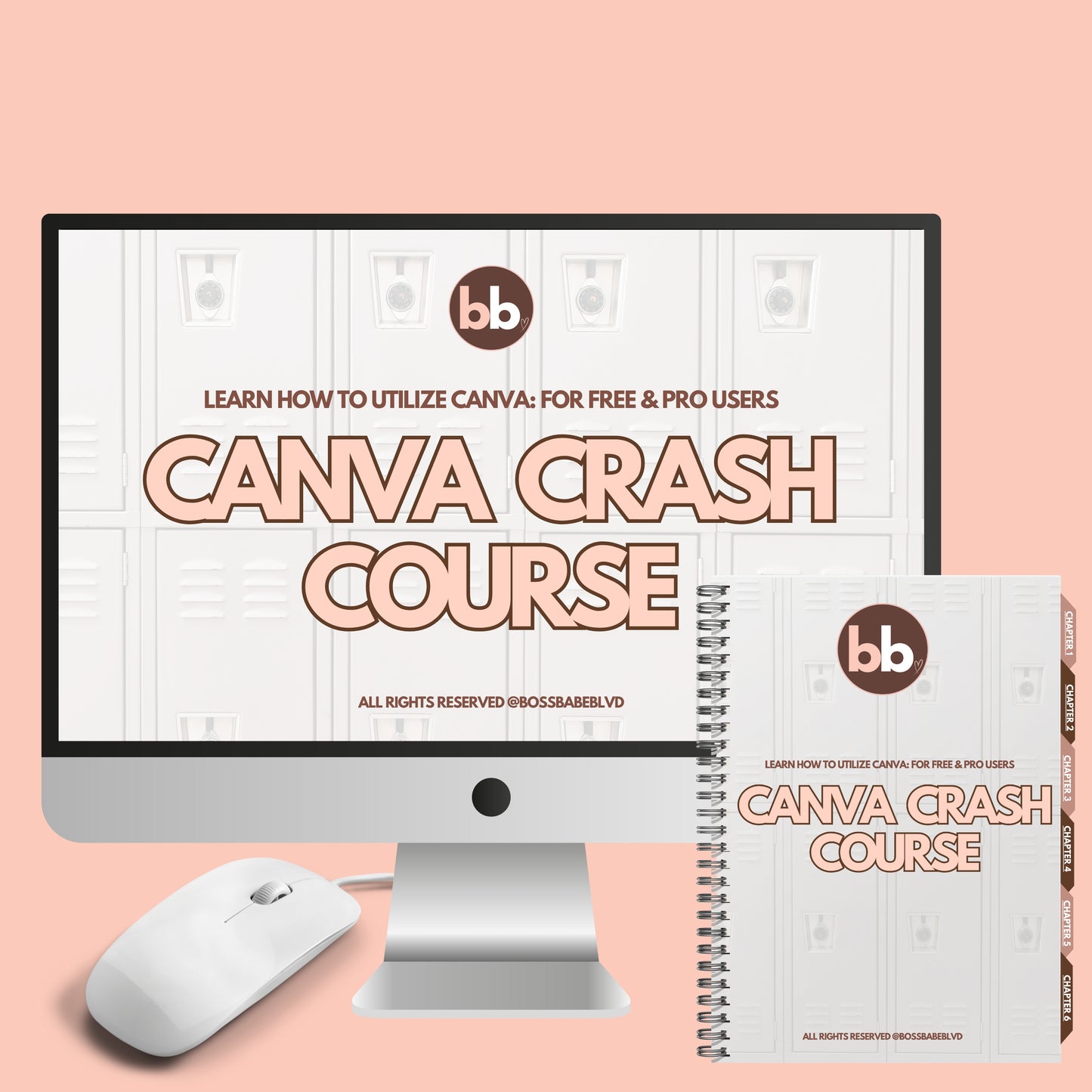 Canva Crash Course: Learn How To Utilize Canva (For Free & Pro Users)