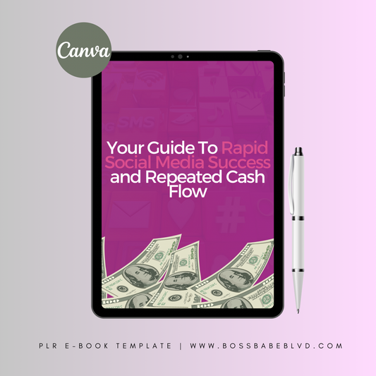 PLR: Your Guide To Rapid Social Media Success and Repeated Cash Flow